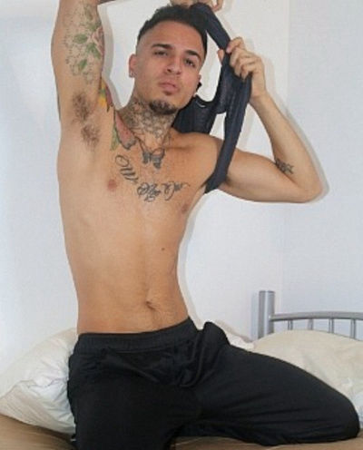 Leo Rex