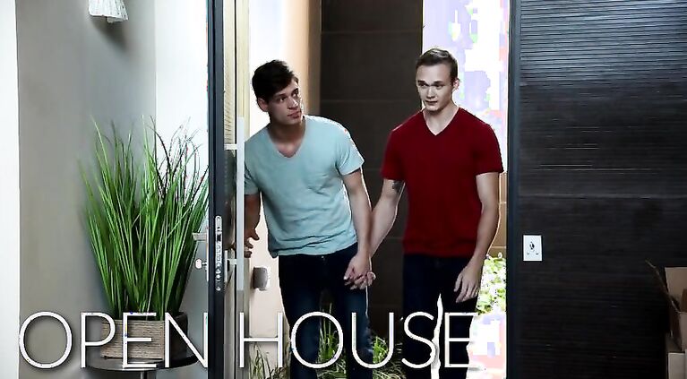 NextDoorRaw Michael DelRay Fucks Boytoy at Public Open House