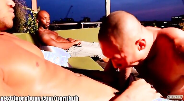 Hot Men Fucking Their Brains Out in a Threesome